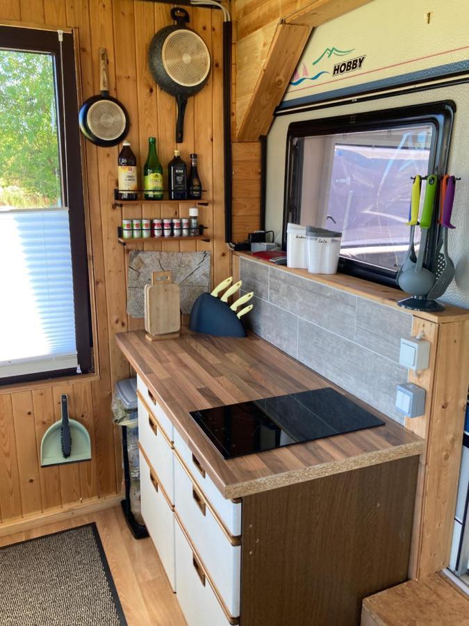 Tiny House Anneliese Hunde Okay Villa Oberbettingen Eksteriør billede